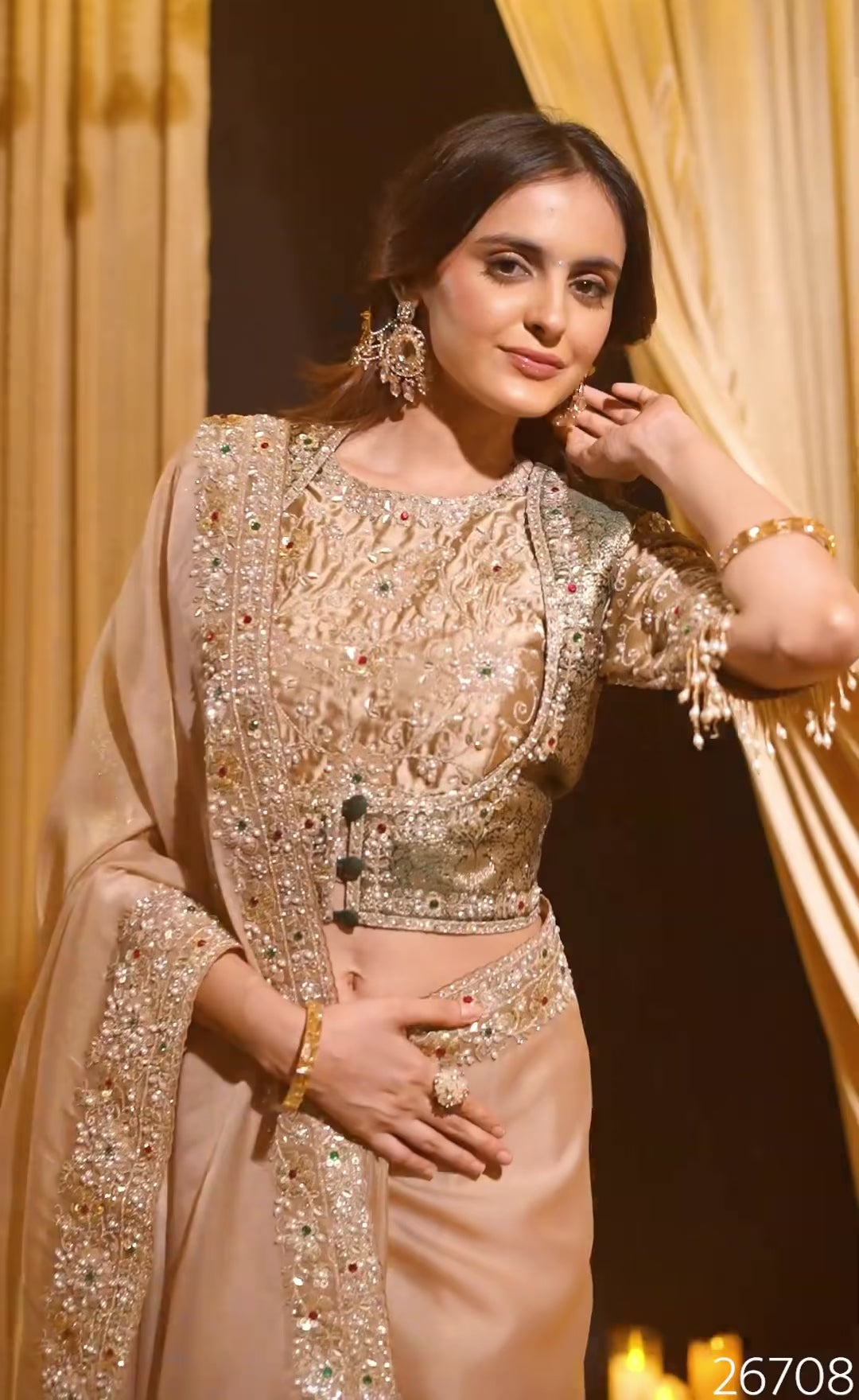 Beige Organza Saree with Stone & Sequin Embroidered Border and Brocade Blouse